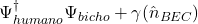 \Psi_{humano}^\dagger \Psi_{bicho} \right) + \gamma (\hat{n}_{BEC})