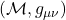 (\mathcal{M}, g_{\mu\nu})
