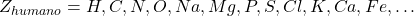 Z_{humano} = {H,C,N,O,Na,Mg,P,S,Cl,K,Ca,Fe,…}