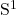 $S^1$