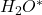 H_2O^*