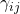 \gamma_{ij}