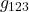 g_{123}