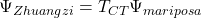 \Psi_{Zhuangzi} = T_{CT} \Psi_{mariposa}
