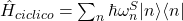 \hat{H}_{ciclico} = \sum_{n} \hbar \omega_n^{S} |n\rangle \langle n|