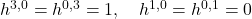 h^{3,0}=h^{0,3}=1, \quad h^{1,0}=h^{0,1}=0