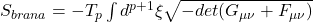 S_{brana} = -T_p \int d^{p+1}\xi \sqrt{-det(G_{\mu\nu} + F_{\mu\nu})}