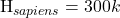   H_{sapiens} = 300k