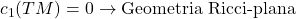 c_1(TM) = 0 \rightarrow \text{Geometria Ricci-plana}