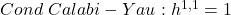 Cond\ Calabi-Yau: h^{1,1}=1