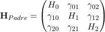 \mathbf{H}_{Padre} = \begin{pmatrix} H_0 & \gamma_{01} & \gamma_{02} \\ \gamma_{10} & H_1 & \gamma_{12} \\ \gamma_{20} & \gamma_{21} & H_2 \end{pmatrix}