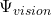 \Psi_{vision}