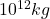 10^{12} kg