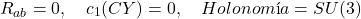 $$ R_{ab}=0, \quad c_1(CY)=0, \quad Holonom&iacute;a = SU(3) $$