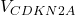 V_{CDKN2A}