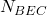 N_{BEC}