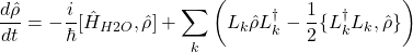 \[\frac{d\hat{\rho}}{dt} = -\frac{i}{\hbar}[\hat{H}_{H2O}, \hat{\rho}] + \sum_k \left( L_k \hat{\rho} L_k^\dagger - \frac{1}{2}\{L_k^\dagger L_k, \hat{\rho}\} \right)\]