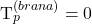    T_p^{(brana)} = 0 