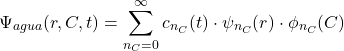 \[\Psi_{agua}(r,C,t) = \sum_{n_C=0}^{\infty} c_{n_C}(t) \cdot \psi_{n_C}(r) \cdot \phi_{n_C}(C)\]