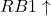 RB1 \uparrow