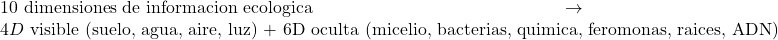 10 \text{ dimensiones de informacion ecologica} \rightarrow 4D \text{ visible (suelo, agua, aire, luz) + 6D oculta (micelio, bacterias, quimica, feromonas, raices, ADN)}