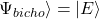 \Psi_{bicho}\rangle = |E\rangle