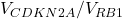 V_{CDKN2A} / V_{RB1}