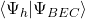 \langle \Psi_h | \Psi_{BEC} \rangle