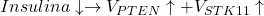 Insulina \downarrow \rightarrow V_{PTEN} \uparrow + V_{STK11} \uparrow