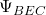 \Psi _{BEC}