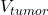 V_{tumor}