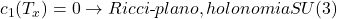 c_1(T_x) = 0 \rightarrow Ricci\text{-}plano, holonomia SU(3)