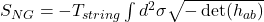  S_{NG} = -T_{string} \int d^2\sigma \sqrt{-\det(h_{ab})}