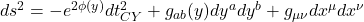  ds^2 = -e^{2\phi(y)} dt_{CY}^2 + g_{ab}(y) dy^a dy^b + g_{\mu\nu} dx^\mu dx^\nu 