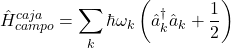 \[\hat{H}_{campo}^{caja} = \sum_k \hbar \omega_k \left(\hat{a}_k^\dagger \hat{a}_k + \frac{1}{2}\right)\]