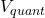 V_{quant}