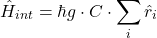 \[\hat{H}_{int} = \hbar g \cdot C \cdot \sum_{i} \hat{r}_i\]