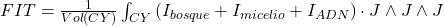 FIT = \frac{1}{Vol(CY)} \int_{CY} \left( I_{bosque} + I_{micelio} + I_{ADN} \right) \cdot J \wedge J \wedge J