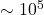 \sim 10^5