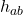  h_{ab} 