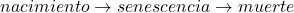 nacimiento \rightarrow senescencia \rightarrow muerte