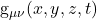 $g_{\mu\nu}(x,y,z,t)$